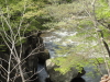 img0073.jpg