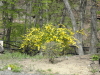 img0077.jpg