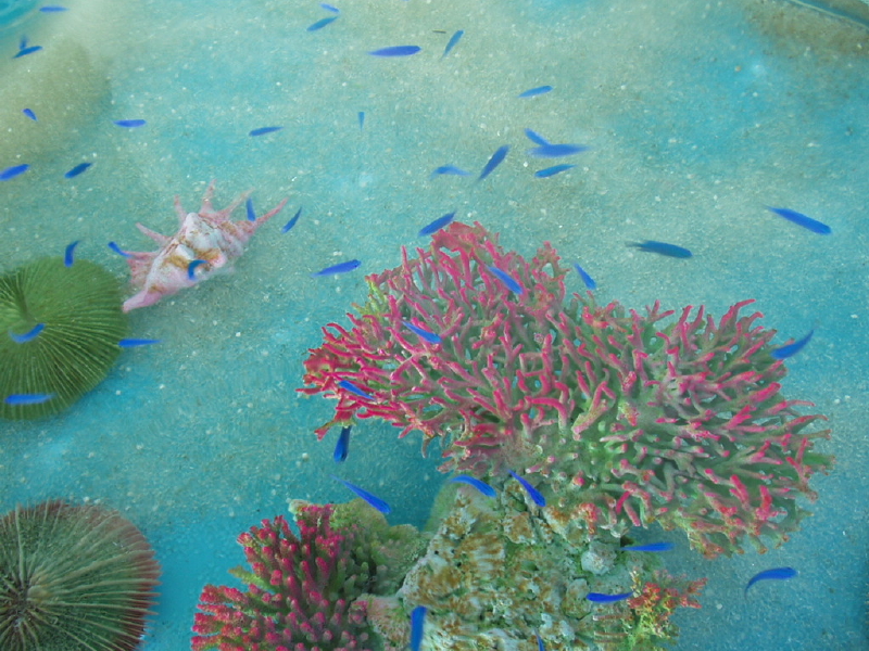 img0018.jpg