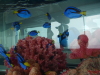 img0019.jpg