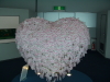 img0027.jpg