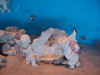 img0029.jpg
