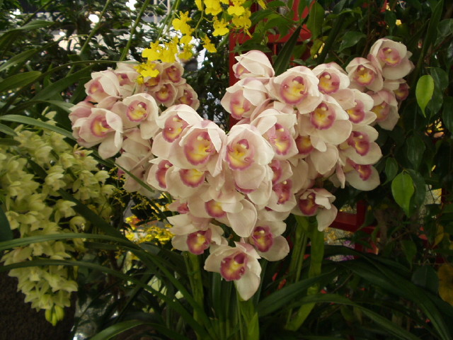 img0006.jpg