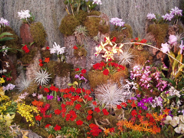 img0008.jpg