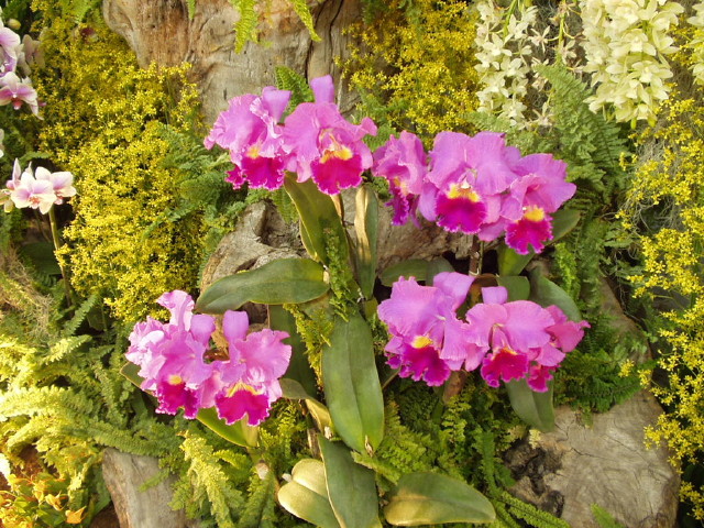 img0009.jpg