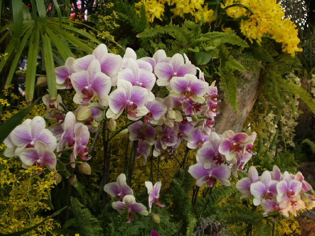 img0010.jpg