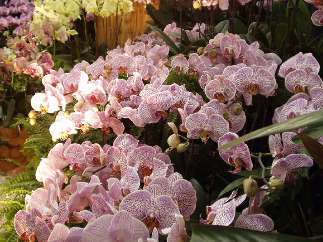 img0012.jpg