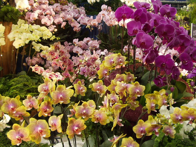 img0013.jpg