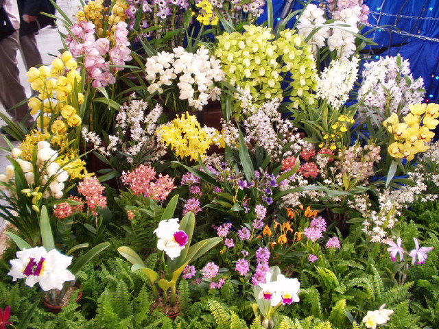 img0015.jpg