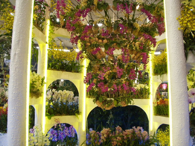 img0016.jpg