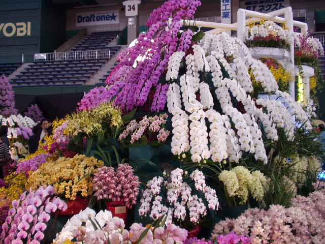 img0017.jpg