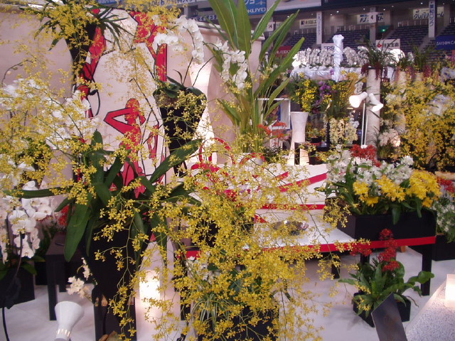 img0020.jpg