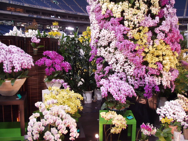 img0021.jpg