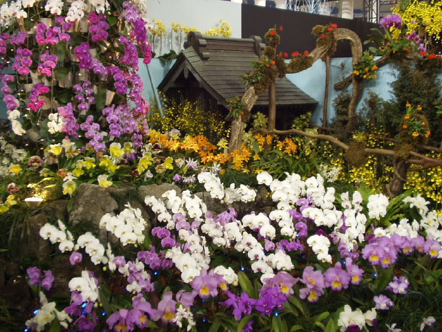 img0025.jpg