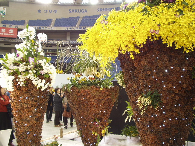 img0026.jpg