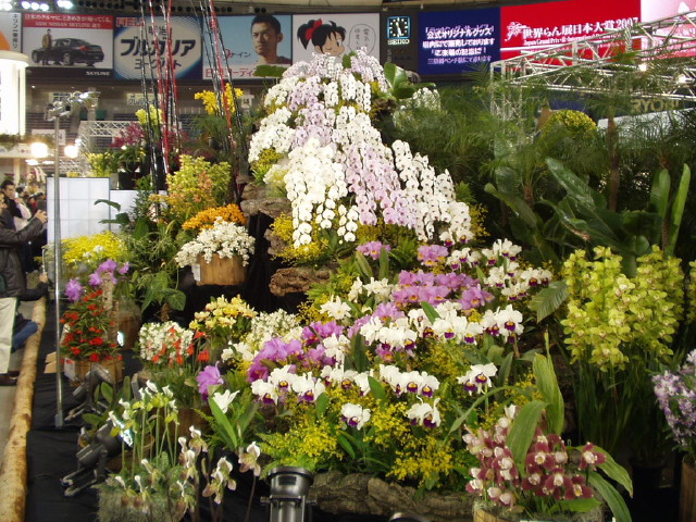 img0029.jpg