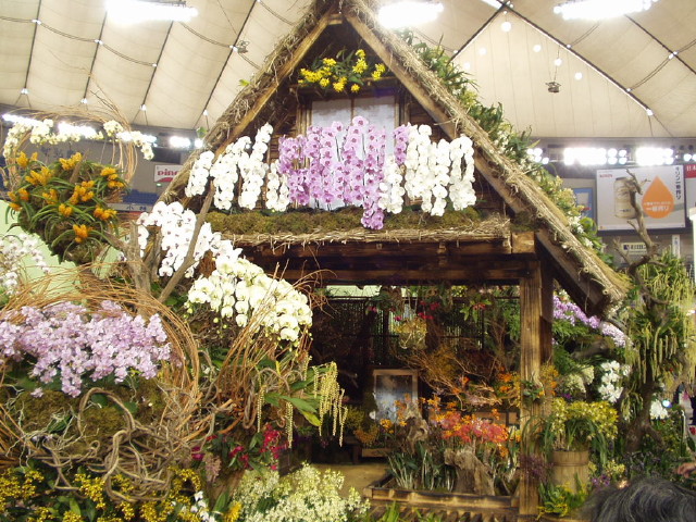 img0030.jpg