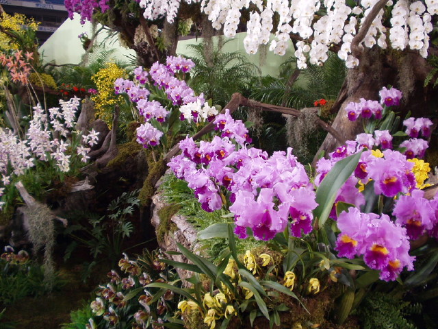 img0032.jpg
