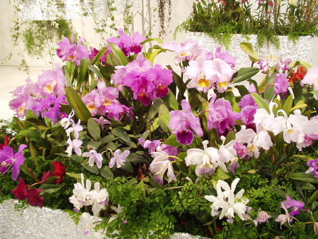img0033.jpg