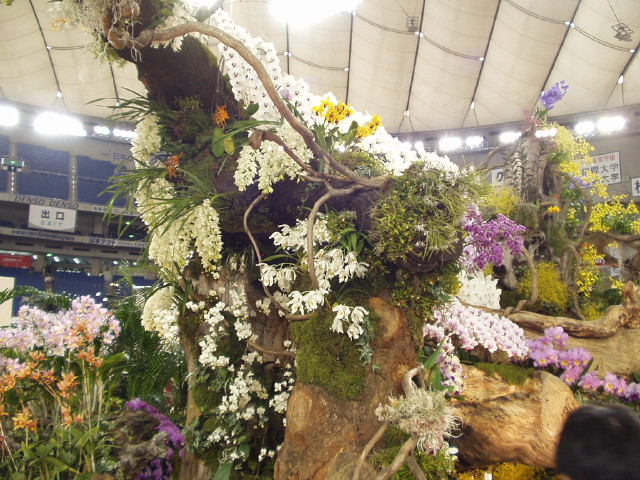 img0034.jpg