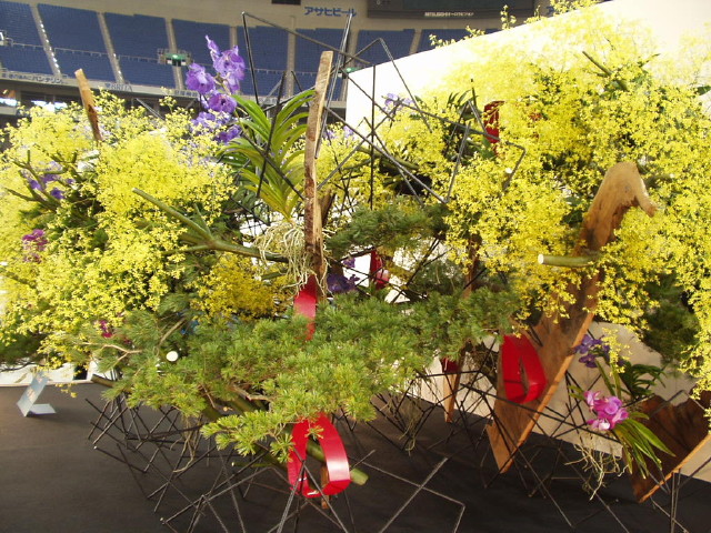 img0040.jpg
