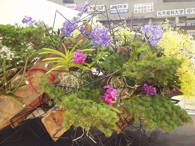 img0042.jpg
