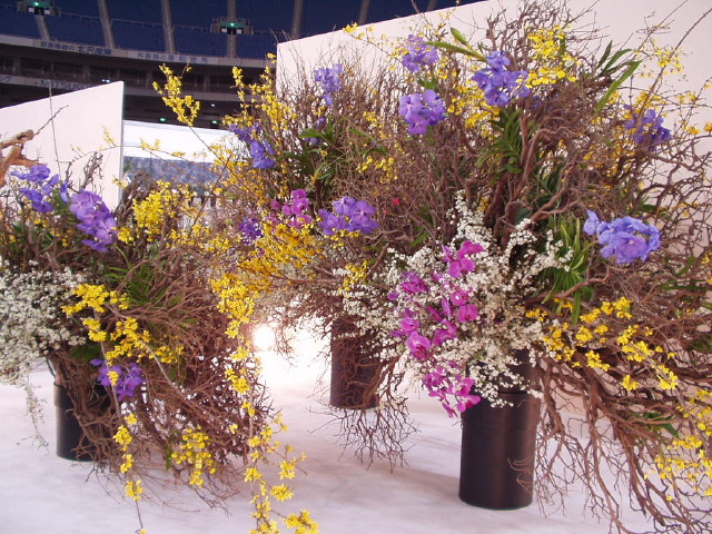 img0043.jpg