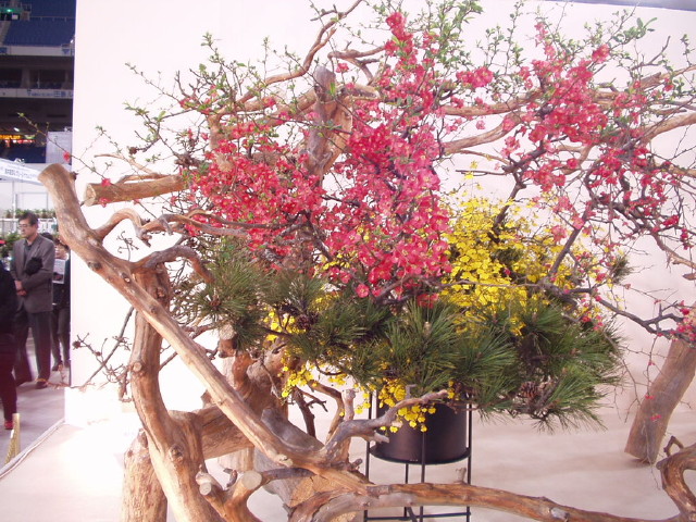 img0044.jpg