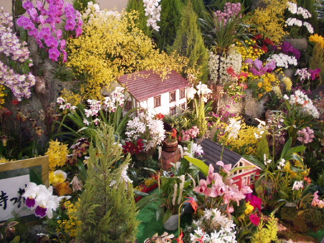 img0045.jpg
