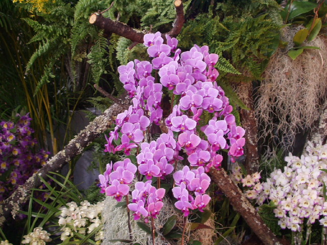 img0046.jpg