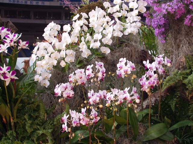 img0047.jpg