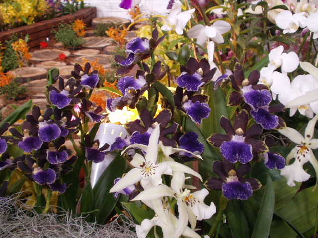 img0048.jpg