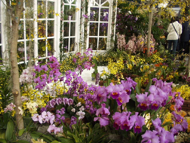 img0049.jpg