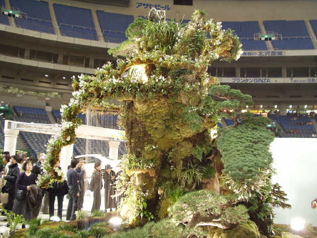 img0052.jpg