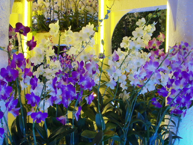img0055.jpg