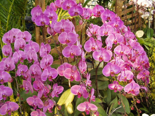 img0057.jpg
