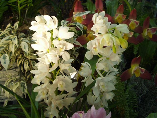 img0059.jpg