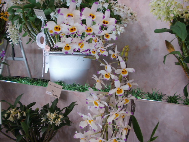 img0068.jpg