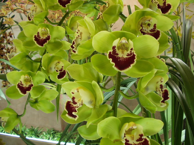 img0069.jpg