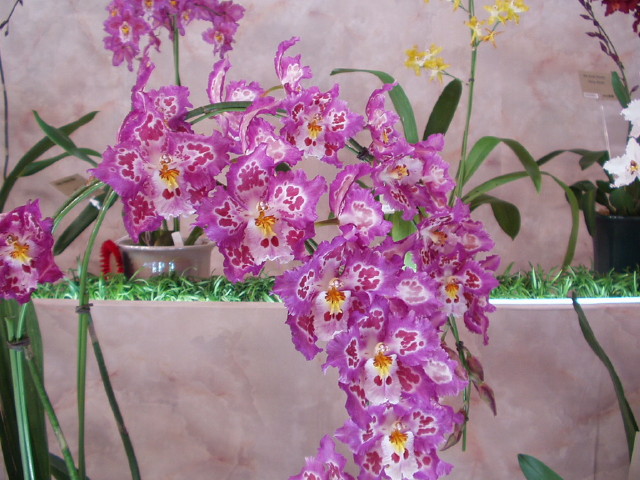 img0072.jpg