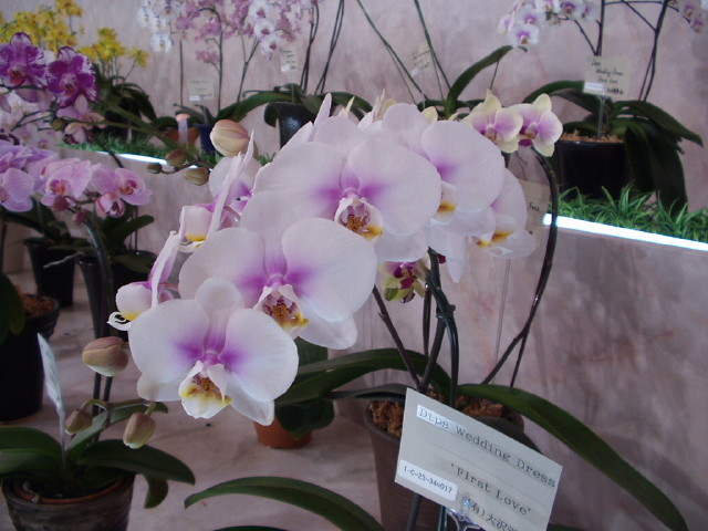 img0074.jpg