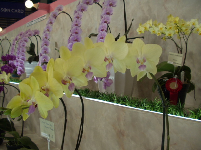 img0075.jpg