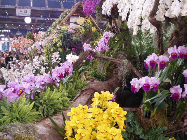 img0079.jpg