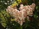 img0006.jpg
