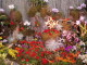 img0008.jpg