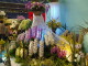 img0014.jpg