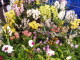 img0015.jpg