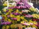 img0018.jpg