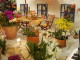 img0019.jpg