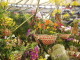 img0023.jpg